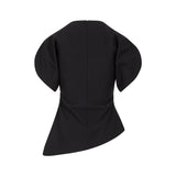 Asymetric Top With Volume Sleeves